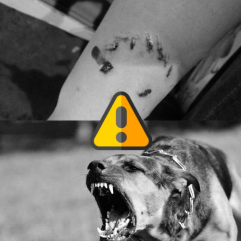 (30% di sconto) Repellente ad Ultrasuoni per Cani
