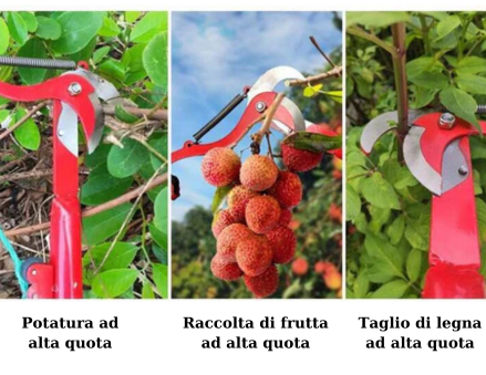 (30% DI SCONTO) Forbici da potatura ad alta efficienza in acciaio al carbonio Denosuke Giappone