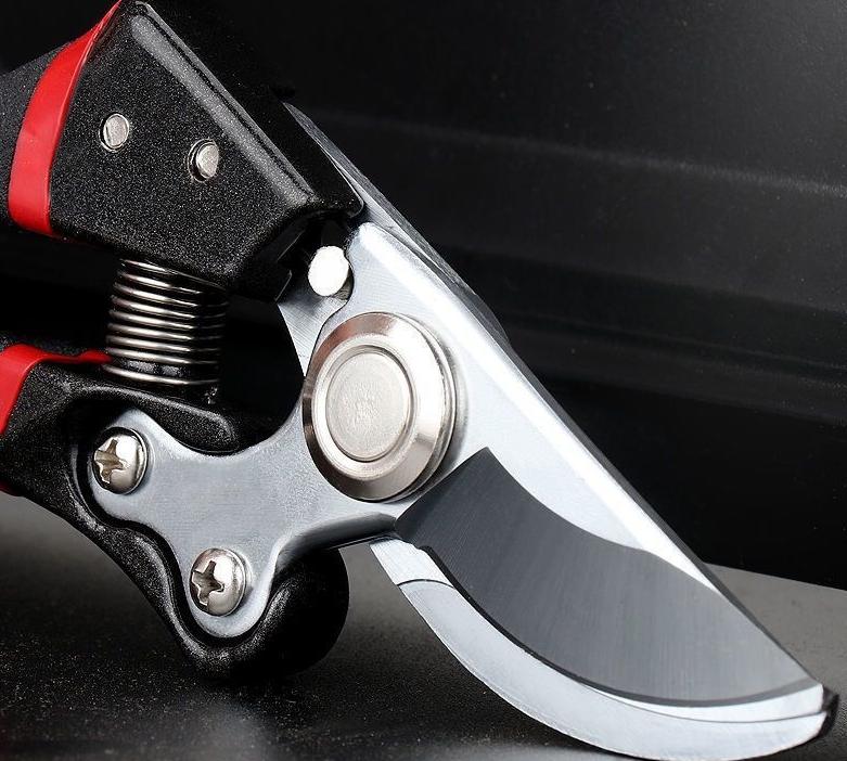 (30% di sconto) Forbici da potatura in acciaio inox