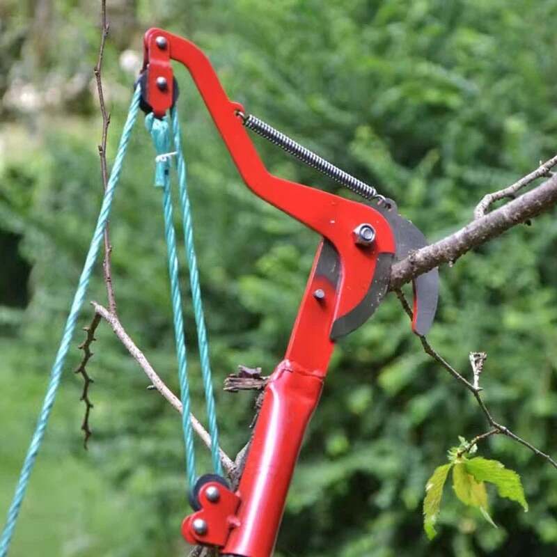 (30% DI SCONTO) Forbici da potatura ad alta efficienza in acciaio al carbonio Denosuke Giappone