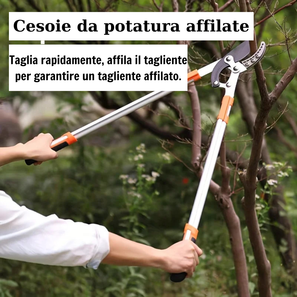 (30% DI SCONTO%) Utensile per tagliare i rami degli alberi con manico lungo per modellare l'albero