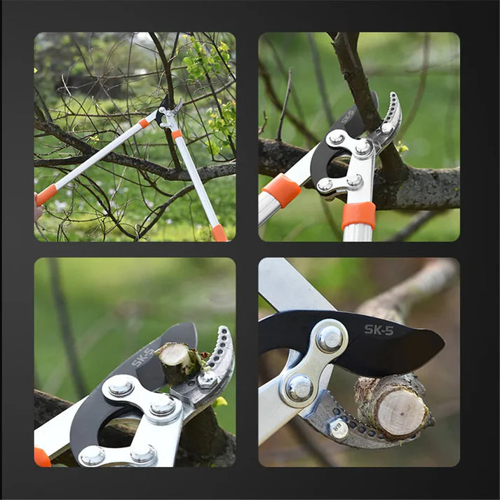 (30% DI SCONTO%) Utensile per tagliare i rami degli alberi con manico lungo per modellare l'albero