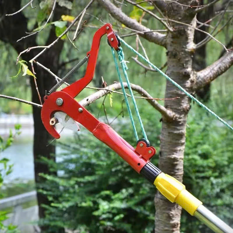 (30% DI SCONTO) Forbici da potatura ad alta efficienza in acciaio al carbonio Denosuke Giappone