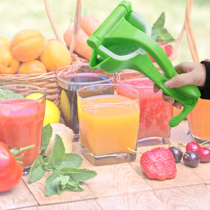 (30% DI SCONTO%)Sprizzy - Spremifrutta Manual