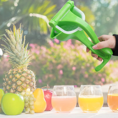 (30% DI SCONTO%)Sprizzy - Spremifrutta Manual