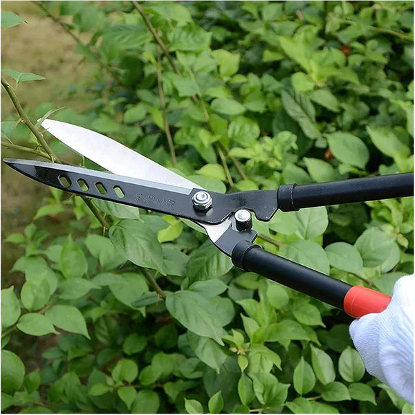 (30% DI SCONTO%) Forbici da giardino per una potatura efficace degli alberi