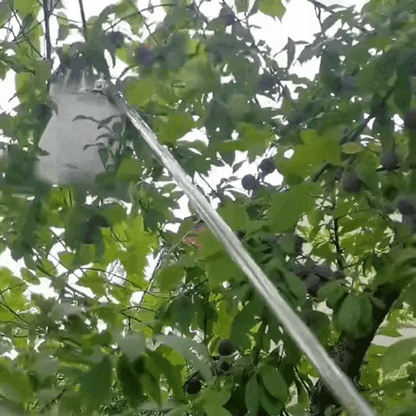 (30% DI SCONTO%) Racchetta Per La Raccolta Della Frutta