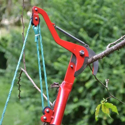 (30% DI SCONTO) Forbici da potatura ad alta efficienza in acciaio al carbonio Denosuke Giappone