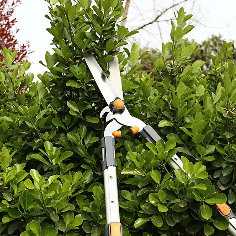 (OFERTA CALIENTE) Speciale potatura rami, cesoia per siepi verdi, potatura giardino